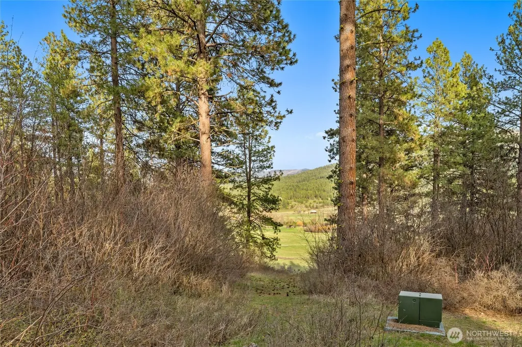 250 Fir Tree Drive Cle Elum WA 98922