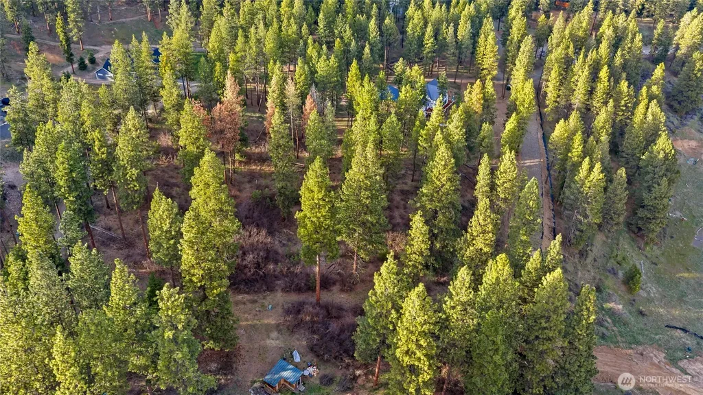 250 Fir Tree Drive Cle Elum WA 98922