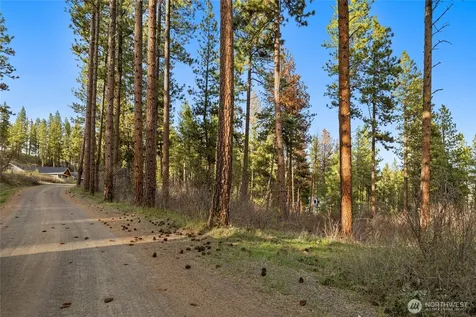 250 Fir Tree Drive Cle Elum WA 98922