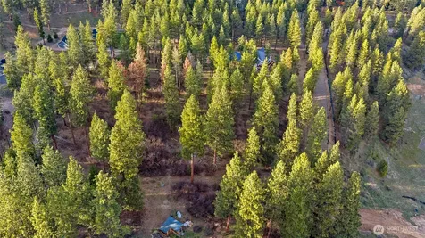 250 Fir Tree Drive Cle Elum WA 98922