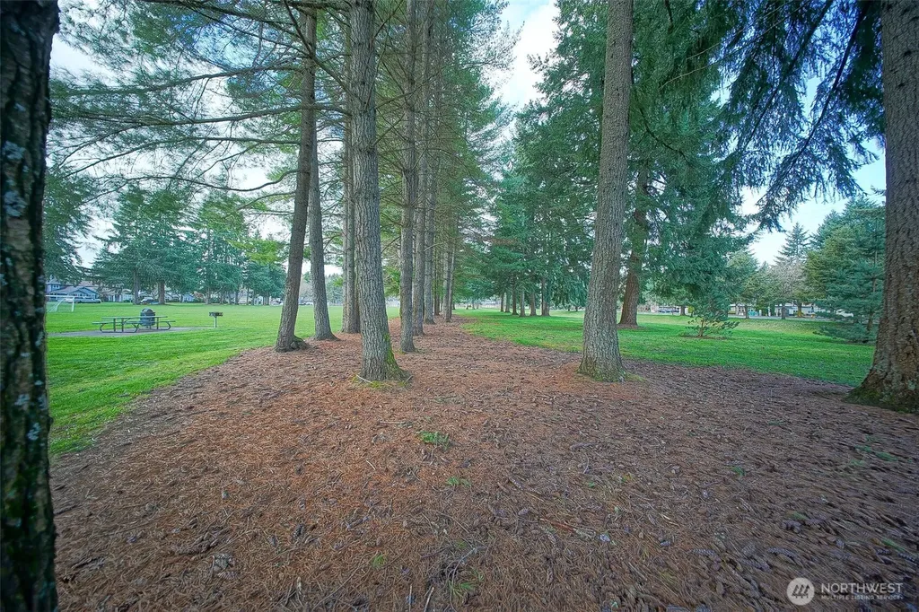 6001 Merlot Lane SE Lacey WA 98513