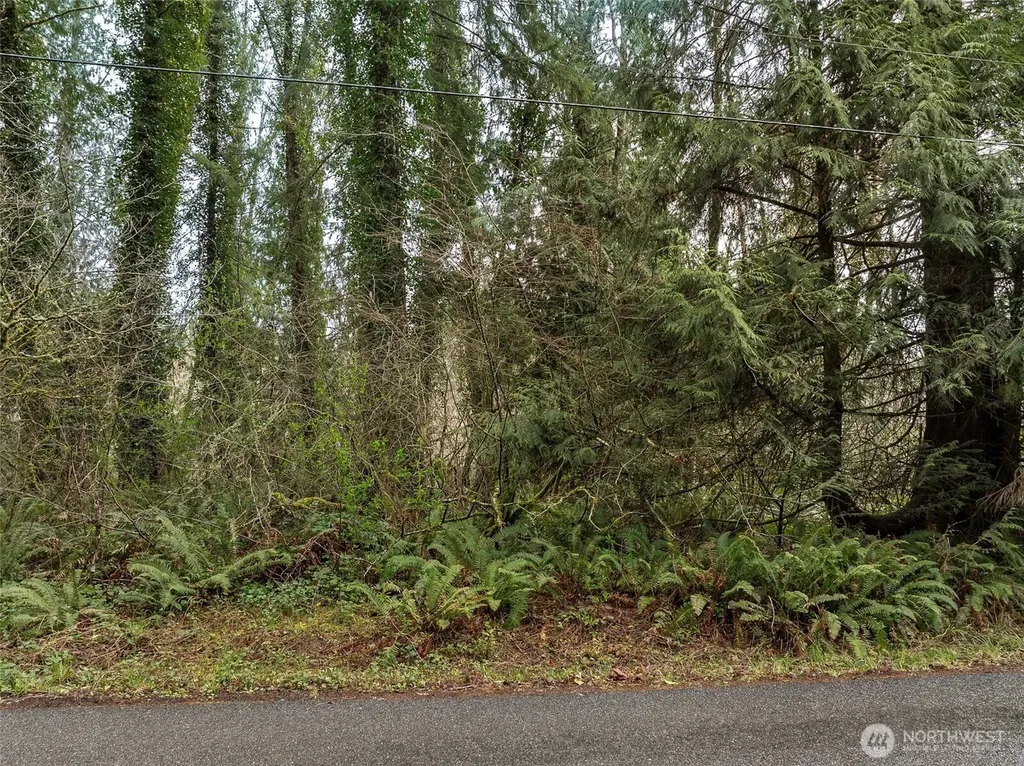 32621 Benbow Drive E Graham WA 98338