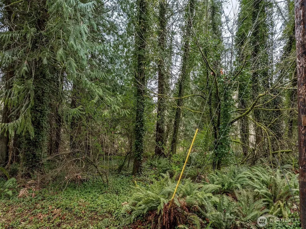32621 Benbow Drive E Graham WA 98338