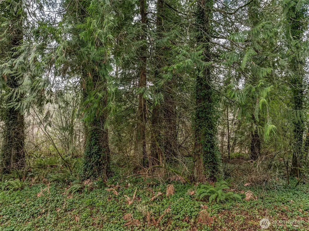 32621 Benbow Drive E Graham WA 98338