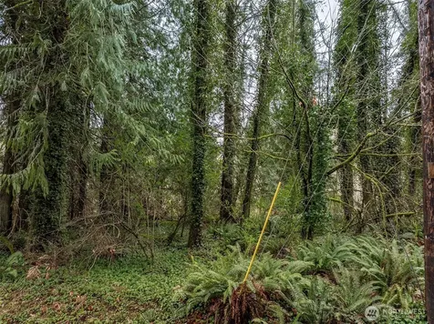 32621 Benbow Drive E Graham WA 98338