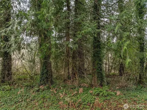 32621 Benbow Drive E Graham WA 98338