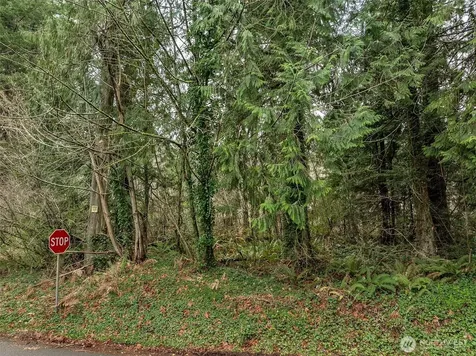 32621 Benbow Drive E Graham WA 98338