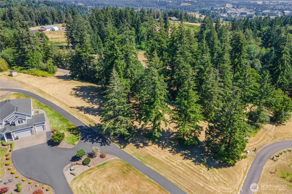 165 Saturn Avenue Woodland WA 98674