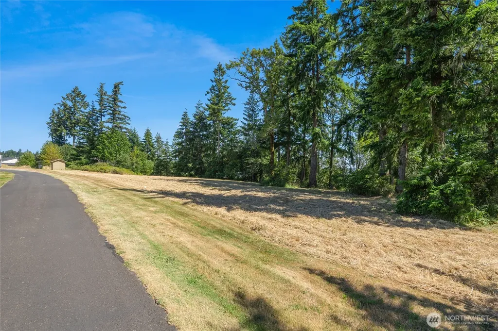 165 Saturn Avenue Woodland WA 98674
