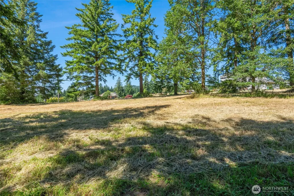 165 Saturn Avenue Woodland WA 98674