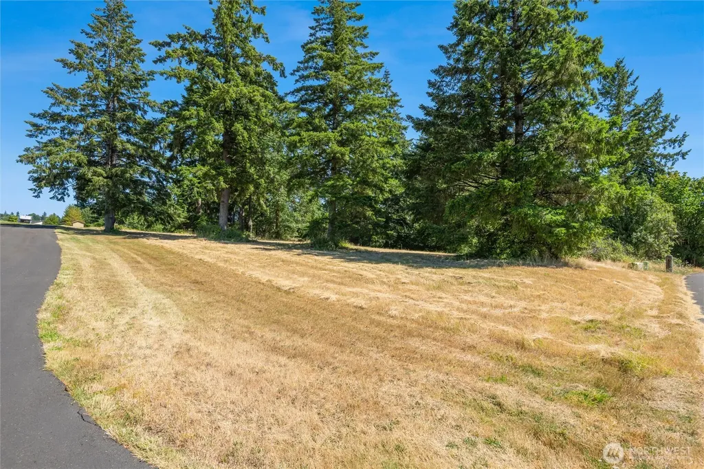 165 Saturn Avenue Woodland WA 98674