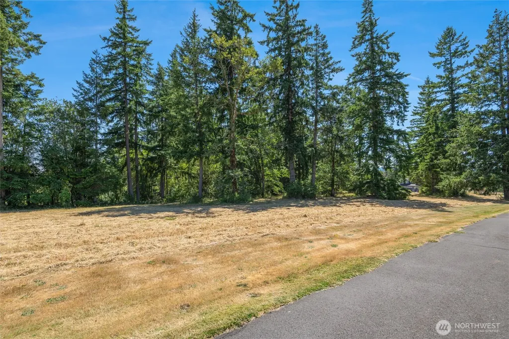 165 Saturn Avenue Woodland WA 98674