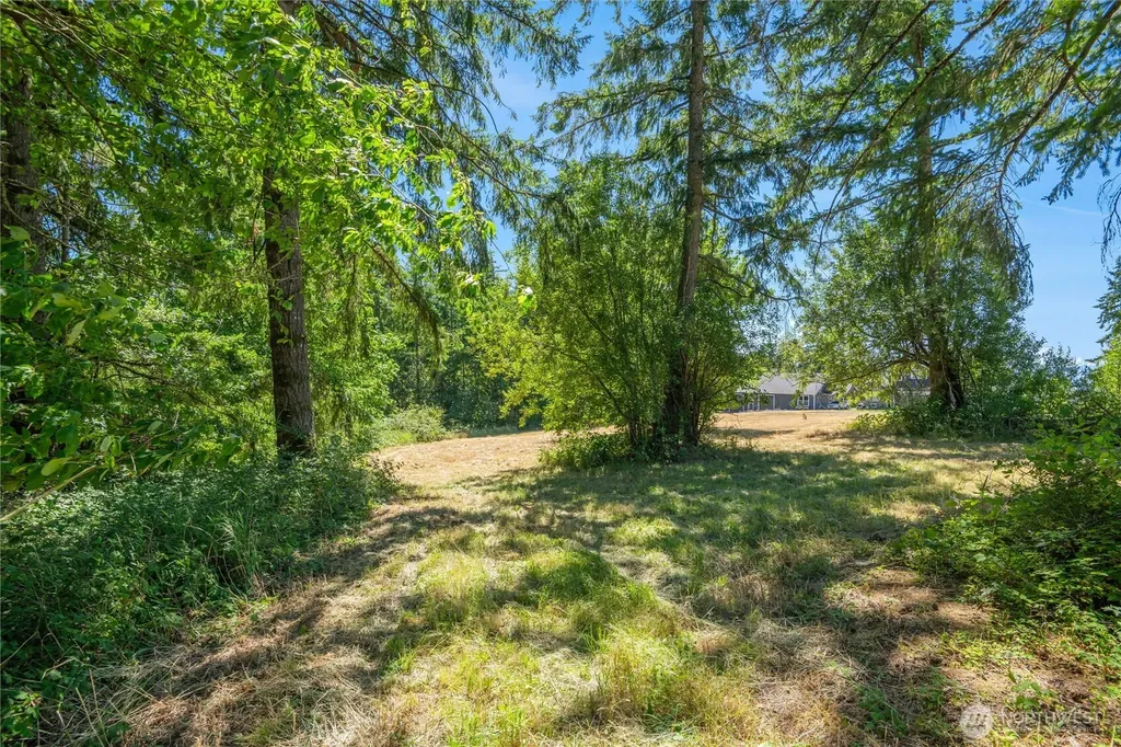 165 Saturn Avenue Woodland WA 98674