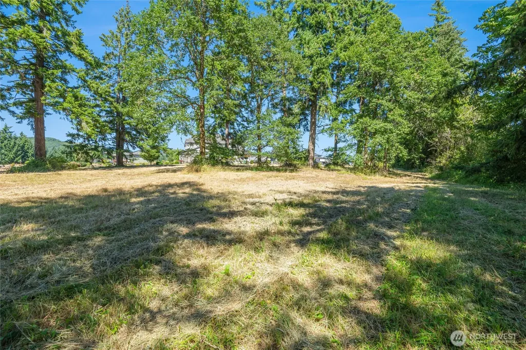 165 Saturn Avenue Woodland WA 98674