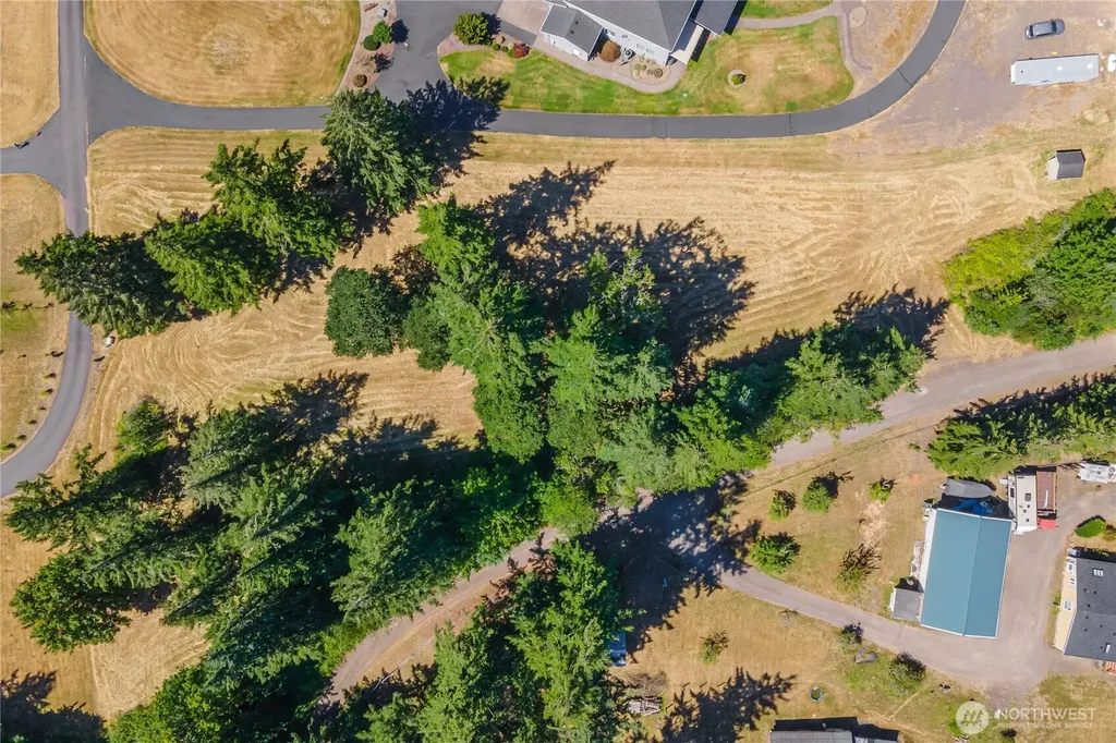 165 Saturn Avenue Woodland WA 98674