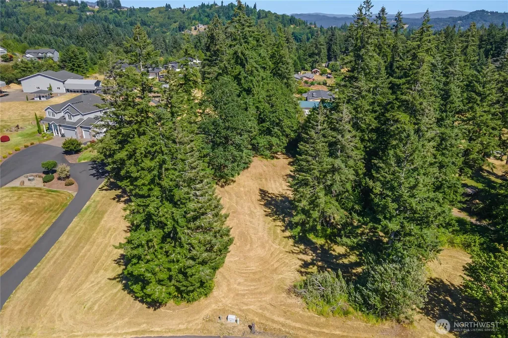 165 Saturn Avenue Woodland WA 98674