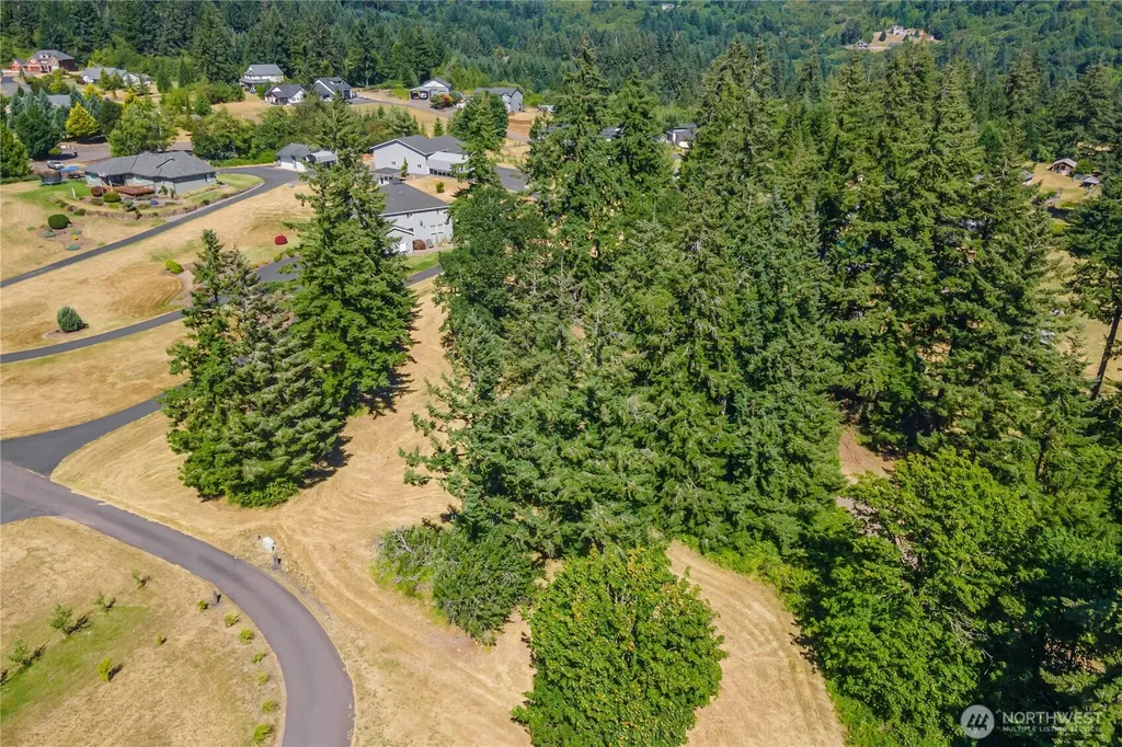 165 Saturn Avenue Woodland WA 98674