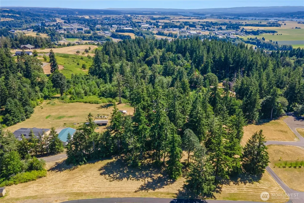 165 Saturn Avenue Woodland WA 98674