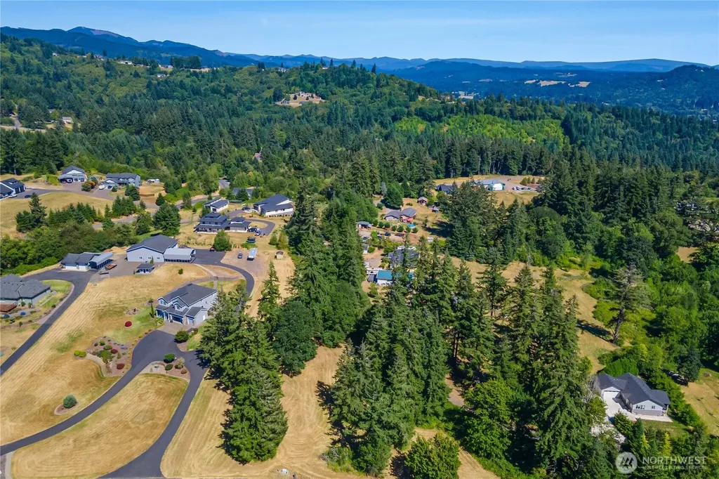 165 Saturn Avenue Woodland WA 98674