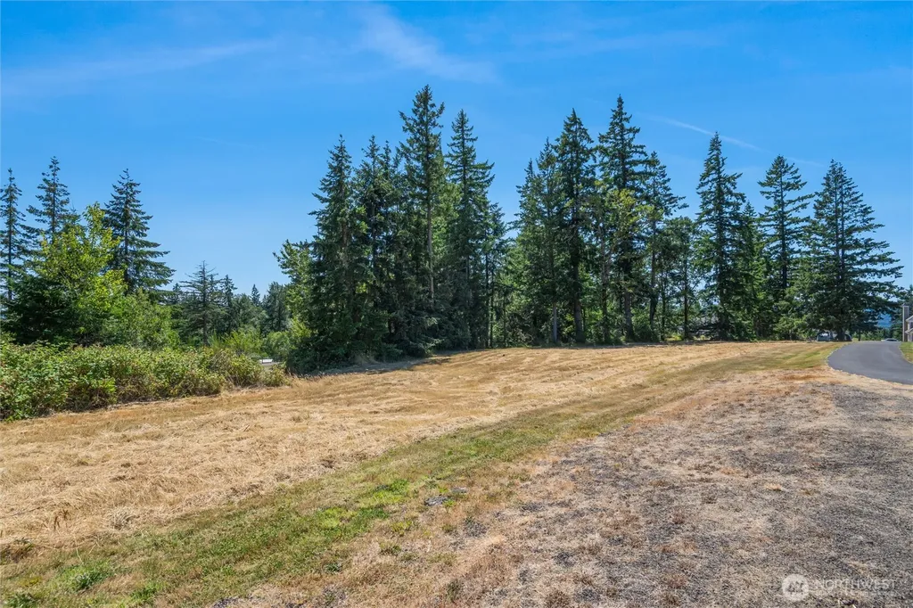 165 Saturn Avenue Woodland WA 98674