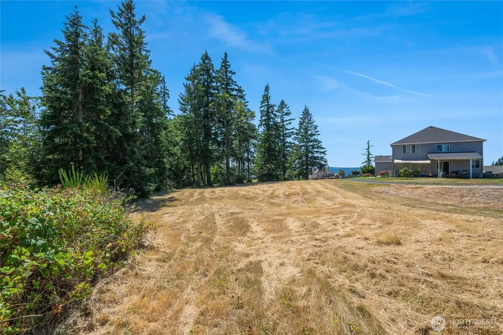 165 Saturn Avenue Woodland WA 98674