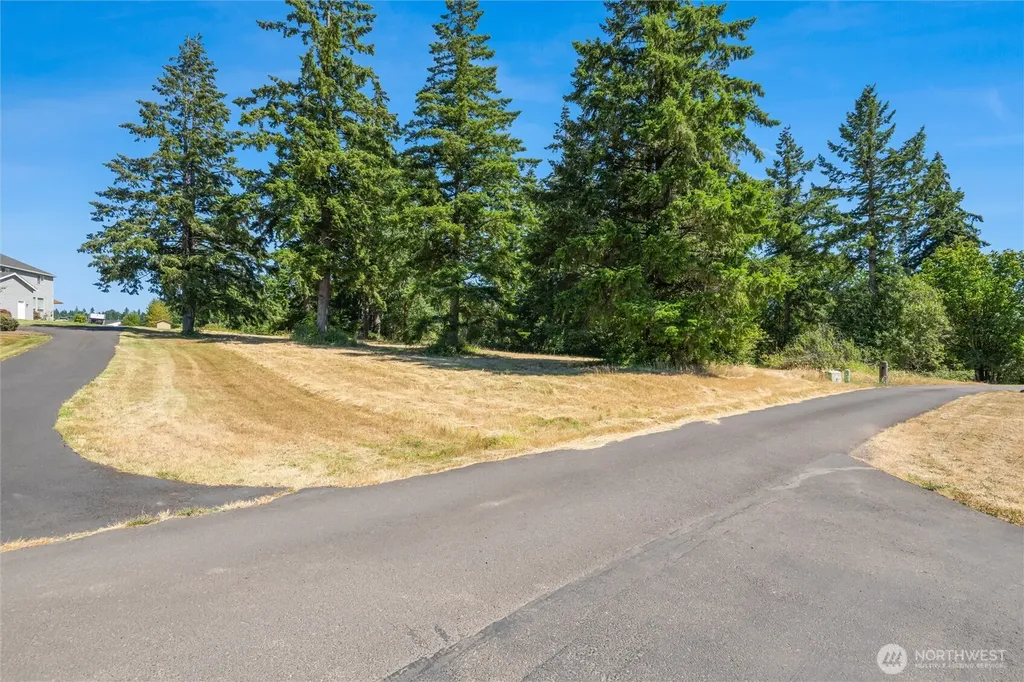 165 Saturn Avenue Woodland WA 98674