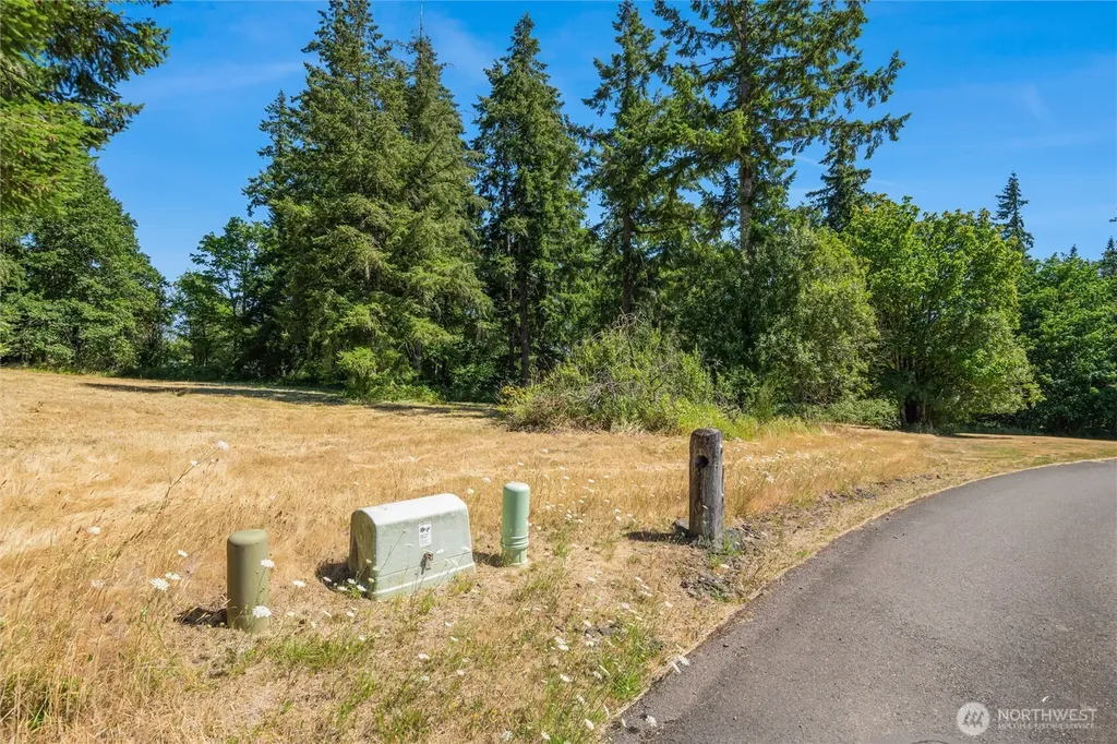 165 Saturn Avenue Woodland WA 98674