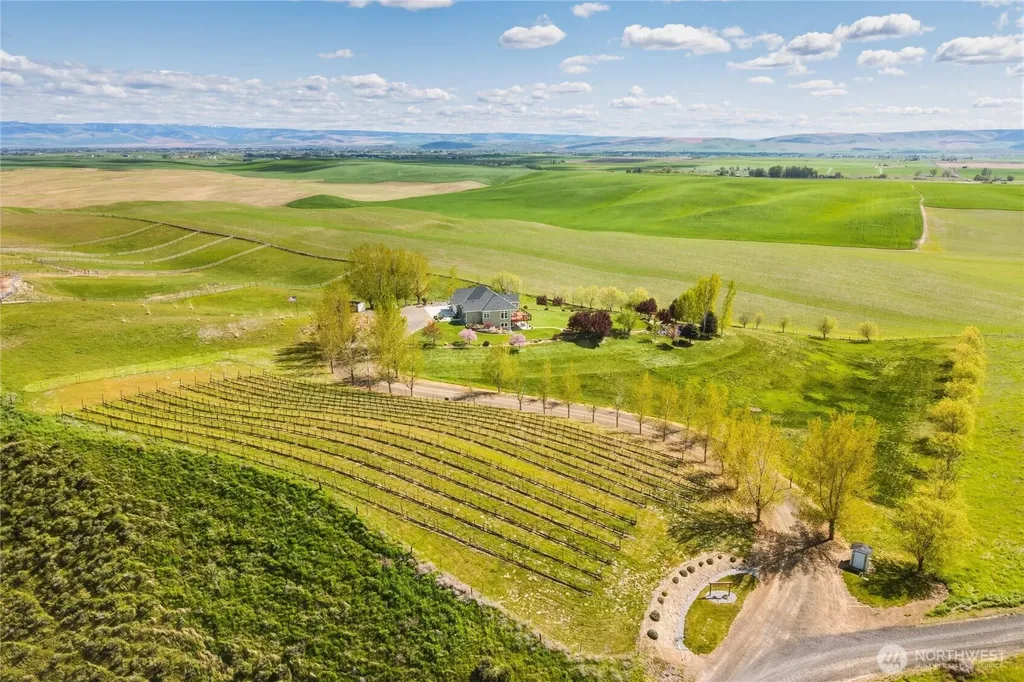 167 Rawhide Road Walla Walla WA 99362