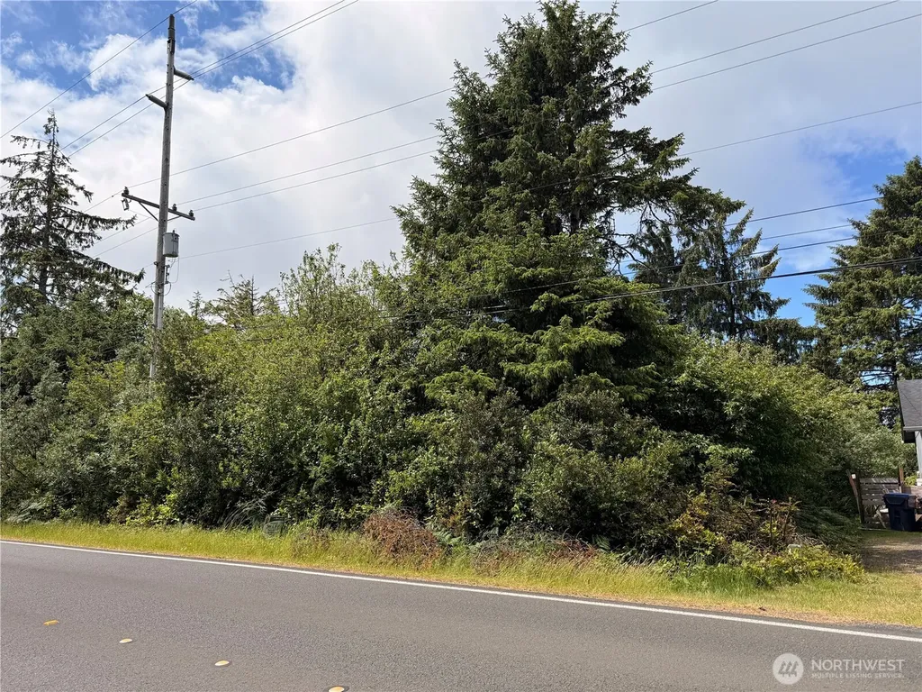 553 Dolphin Avenue NE Ocean Shores WA 98569