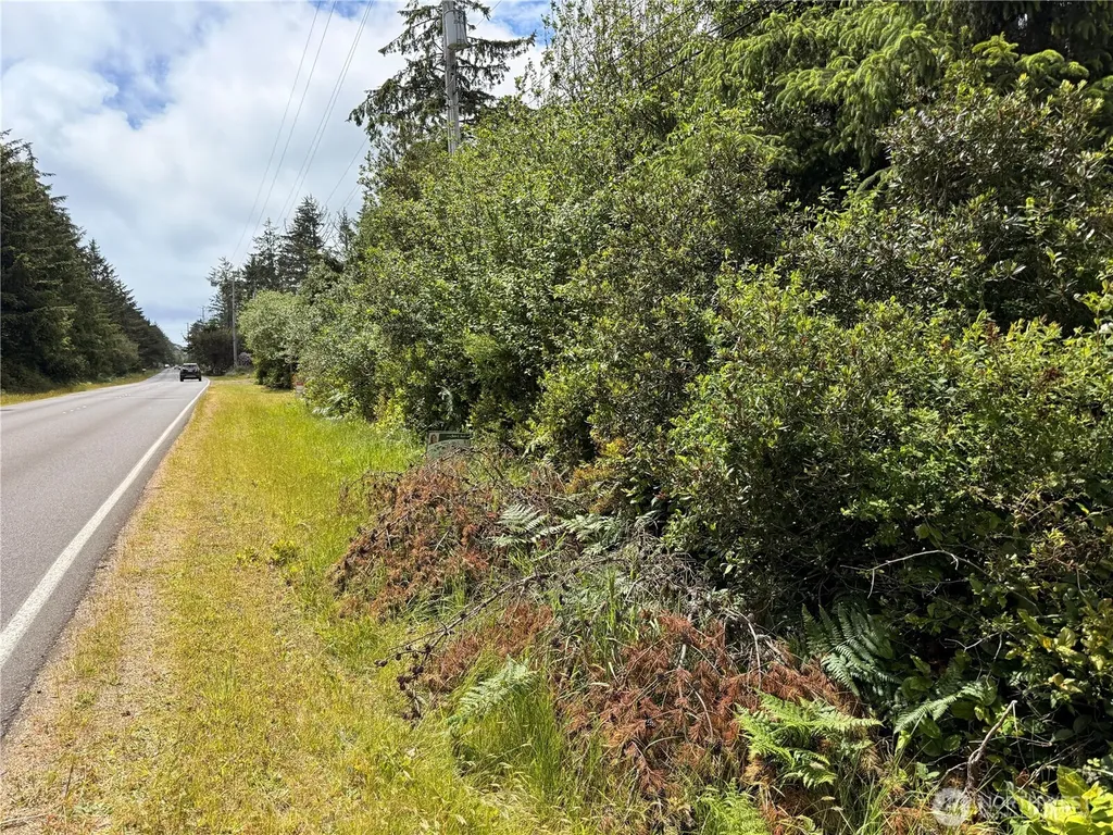 553 Dolphin Avenue NE Ocean Shores WA 98569