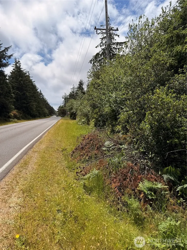 553 Dolphin Avenue NE Ocean Shores WA 98569