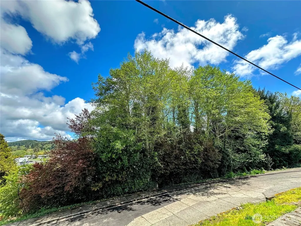 816 Terrace Avenue Aberdeen WA 98520