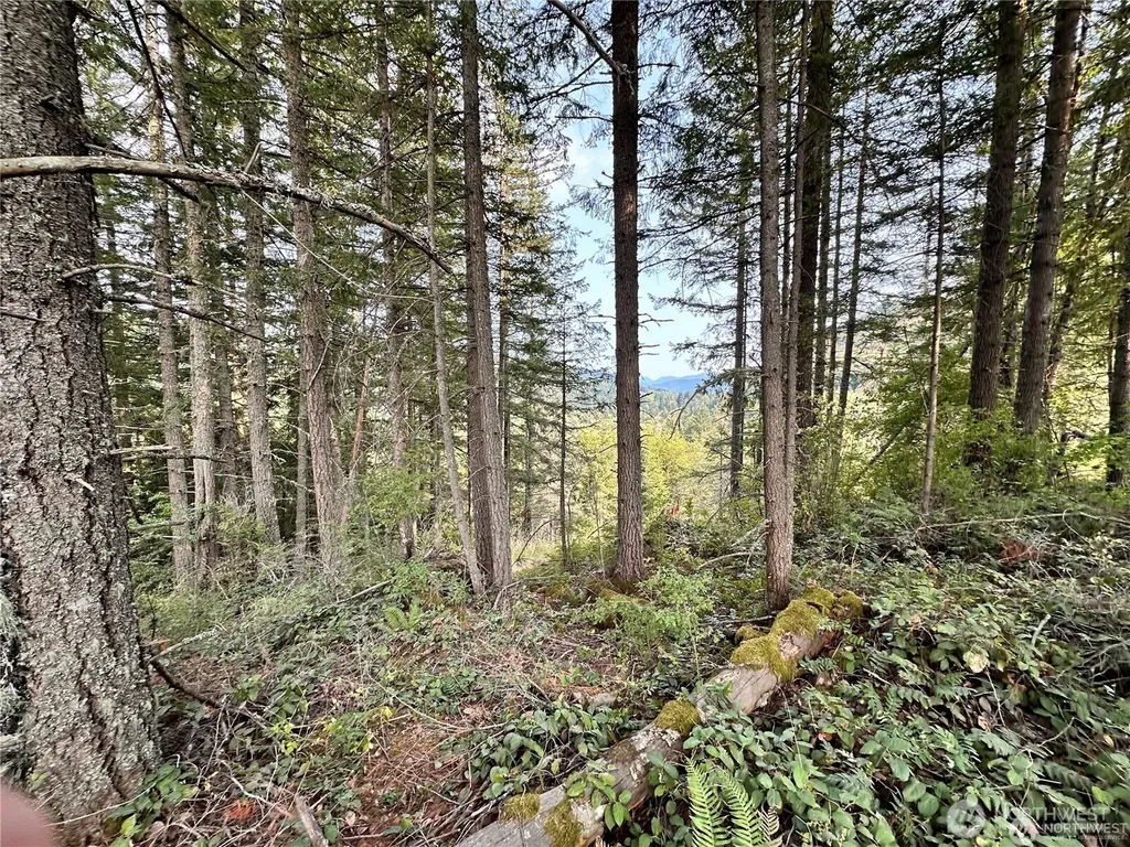 50113 146th Avenue E Eatonville WA 98328