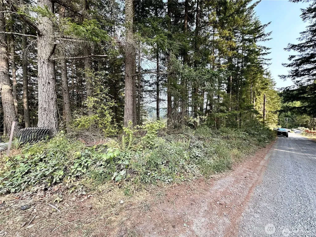 50113 146th Avenue E Eatonville WA 98328