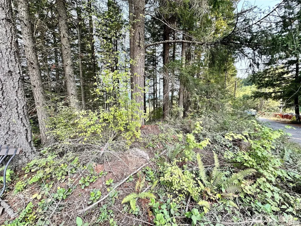 50113 146th Avenue E Eatonville WA 98328