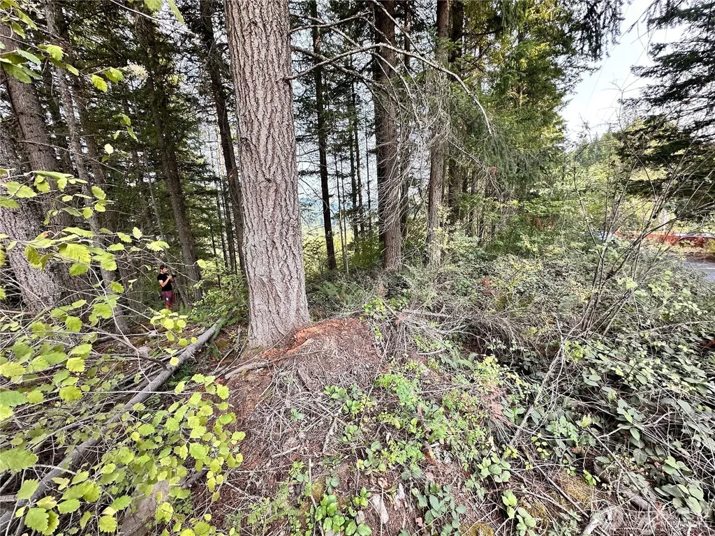 50113 146th Avenue E Eatonville WA 98328