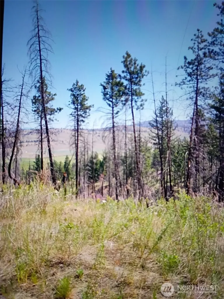111 J H Green Road Tonasket WA 98855