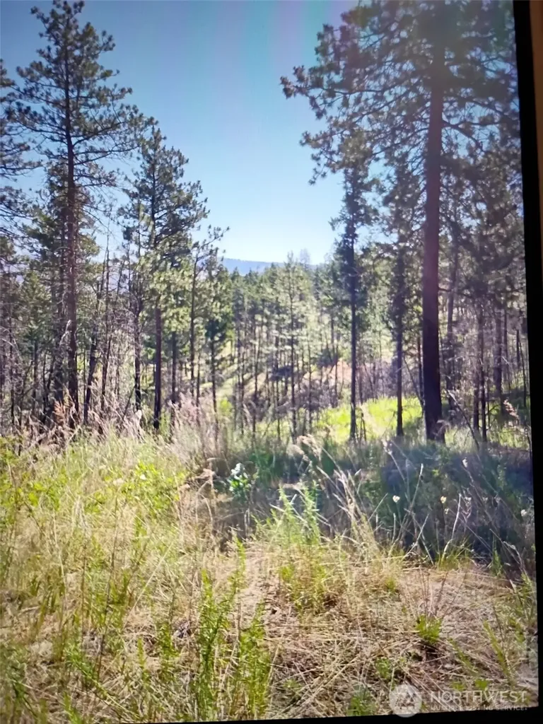 111 J H Green Road Tonasket WA 98855