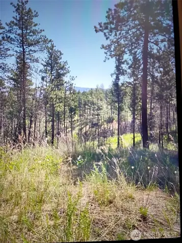 111 J H Green Road Tonasket WA 98855