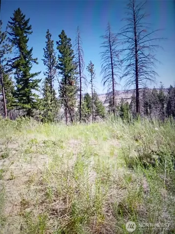 111 J H Green Road Tonasket WA 98855