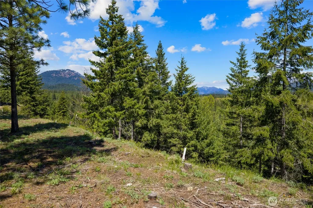 45 Gold Leaf Lane Cle Elum WA 98922