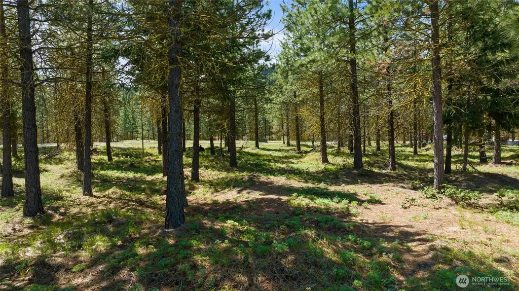 45 Gold Leaf Lane Cle Elum WA 98922