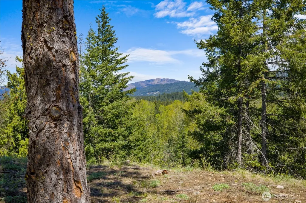 45 Gold Leaf Lane Cle Elum WA 98922