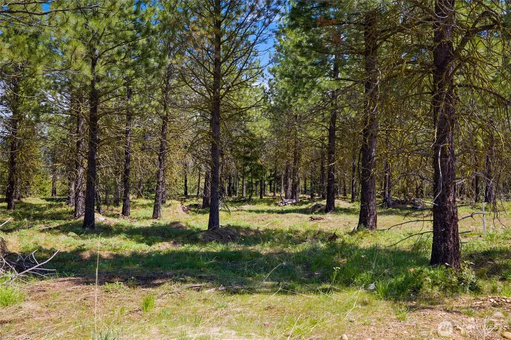 45 Gold Leaf Lane Cle Elum WA 98922