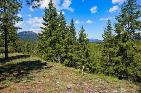 45 Gold Leaf Lane Cle Elum WA 98922