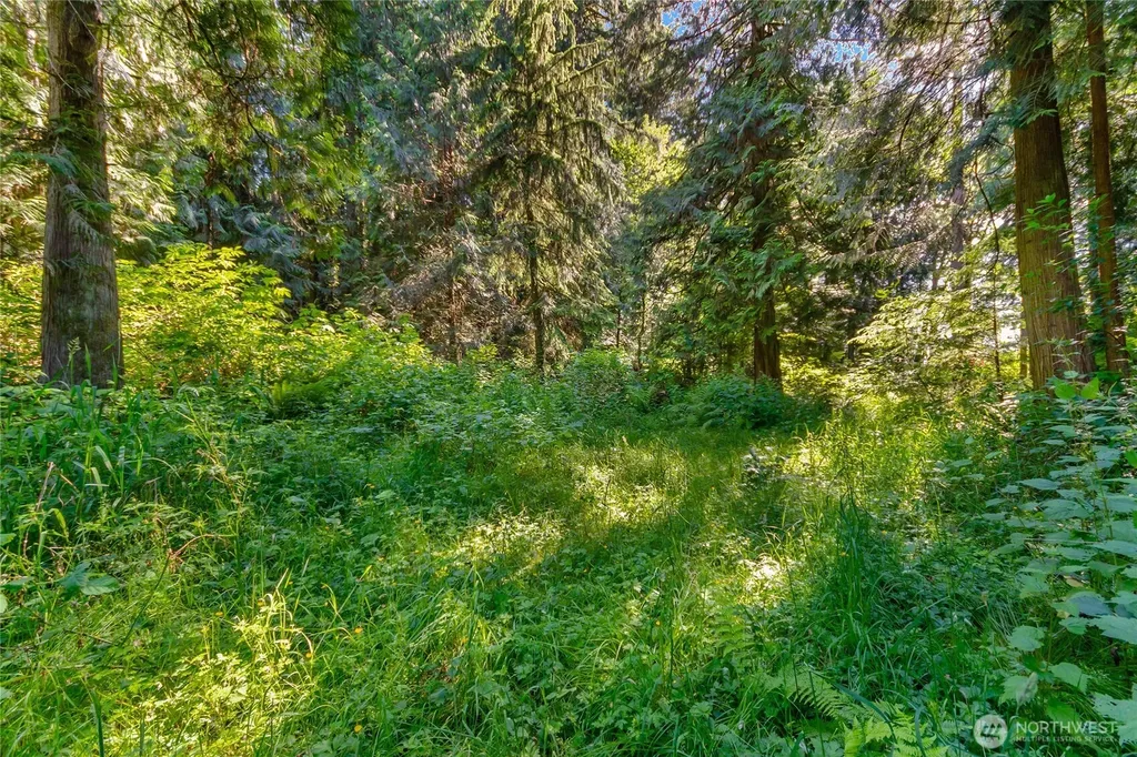 15412 Ap Tubbs Road E Buckley WA 98321