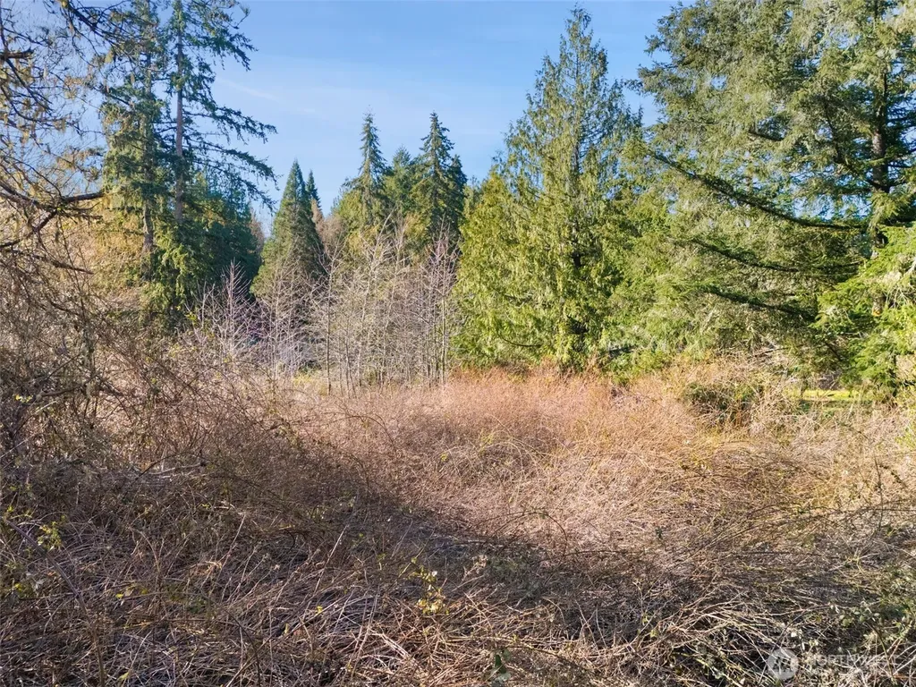 0 E Sherwood Creek Road Allyn WA 98524