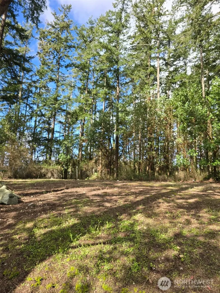 1012 N Scenic Heights Road Oak Harbor WA 98277