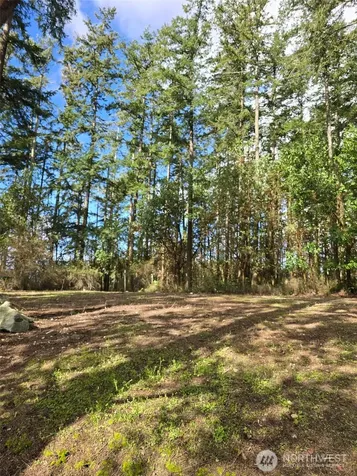 1012 N Scenic Heights Road Oak Harbor WA 98277