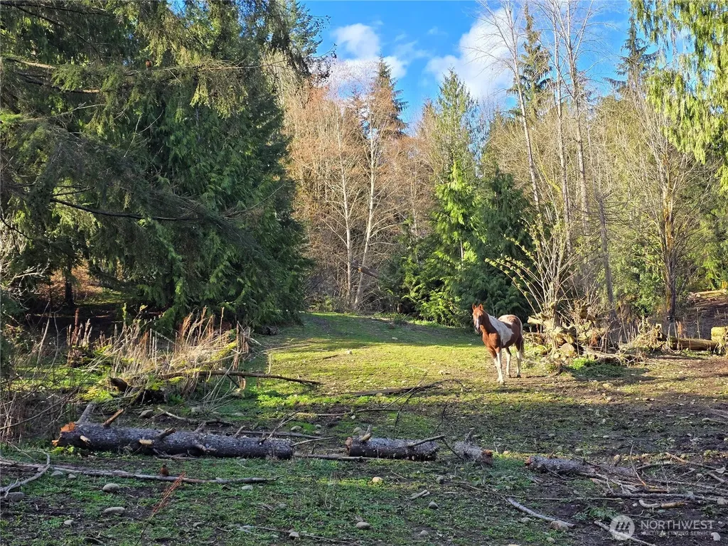 16827 24th Place NE Snohomish WA 98290